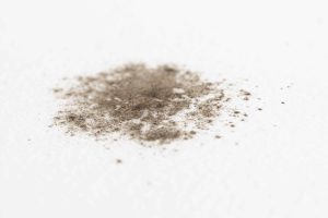 Prevent Mold And Mildew