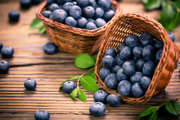 Foods That Stimulate Your Brain