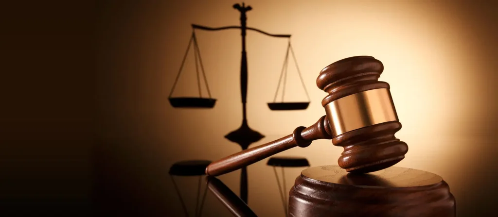 Herbal Remedies and Their Role in Elderly Health Care