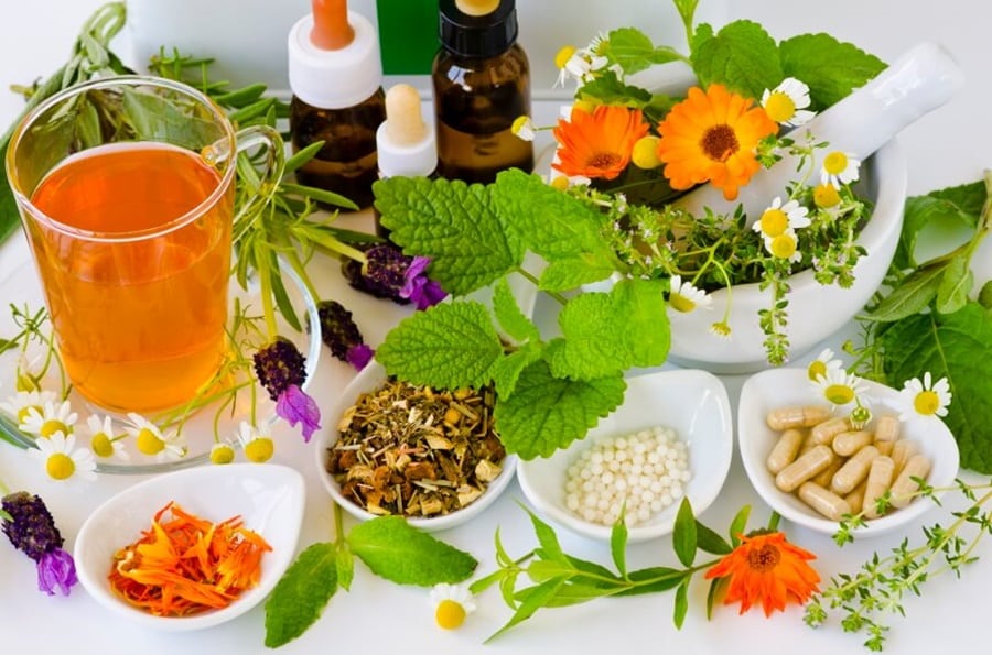 Herbal Remedies and Their Role in Elderly Health Care