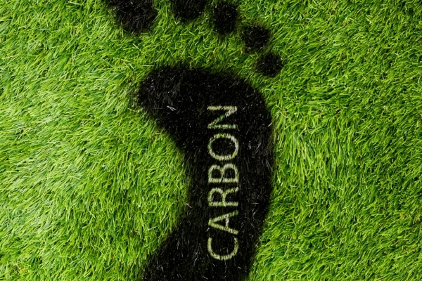 The Shocking Truth About Superfoods: Are They Really as Healthy as They Claim?