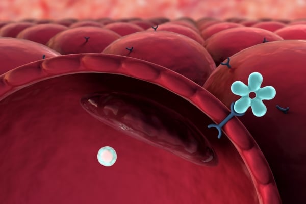 Connection Between Sugar and Cancer