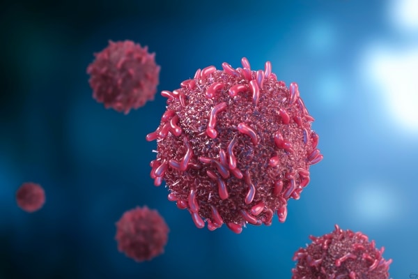 Connection Between Sugar and Cancer